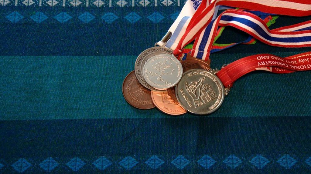 Bolja Hrvatska: Učenik s osam olimpijskih medalja u znanju (Video: Dnevnik Nove TV) - 1
