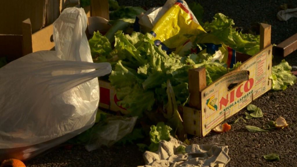 Hrana se prerano baca u otpad (Foto: Dnevnik.hr) - 2