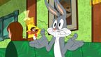 Looney Tunes 2. sezona - 1 Looney Tunes 2. sezona - 1
