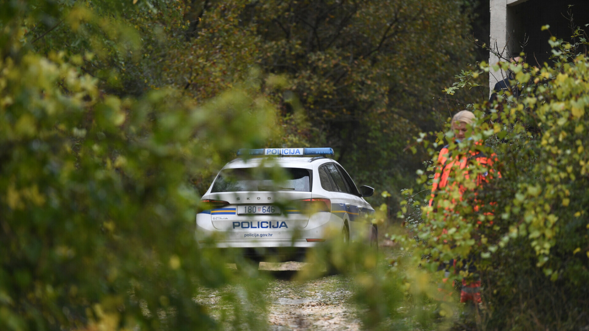 Crni Badnjak Godi Nji Voza Sletio Autom S Ceste Udario U Stablo I