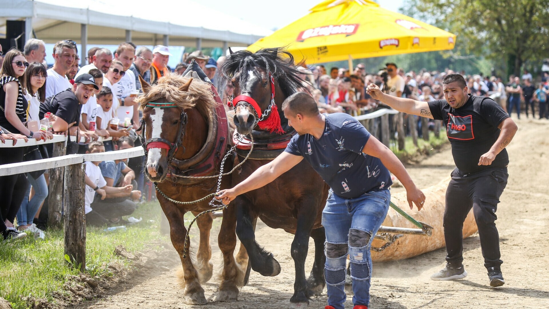 Kraj nakaradnim zabavama Inspekcija zabranila štraparijadu