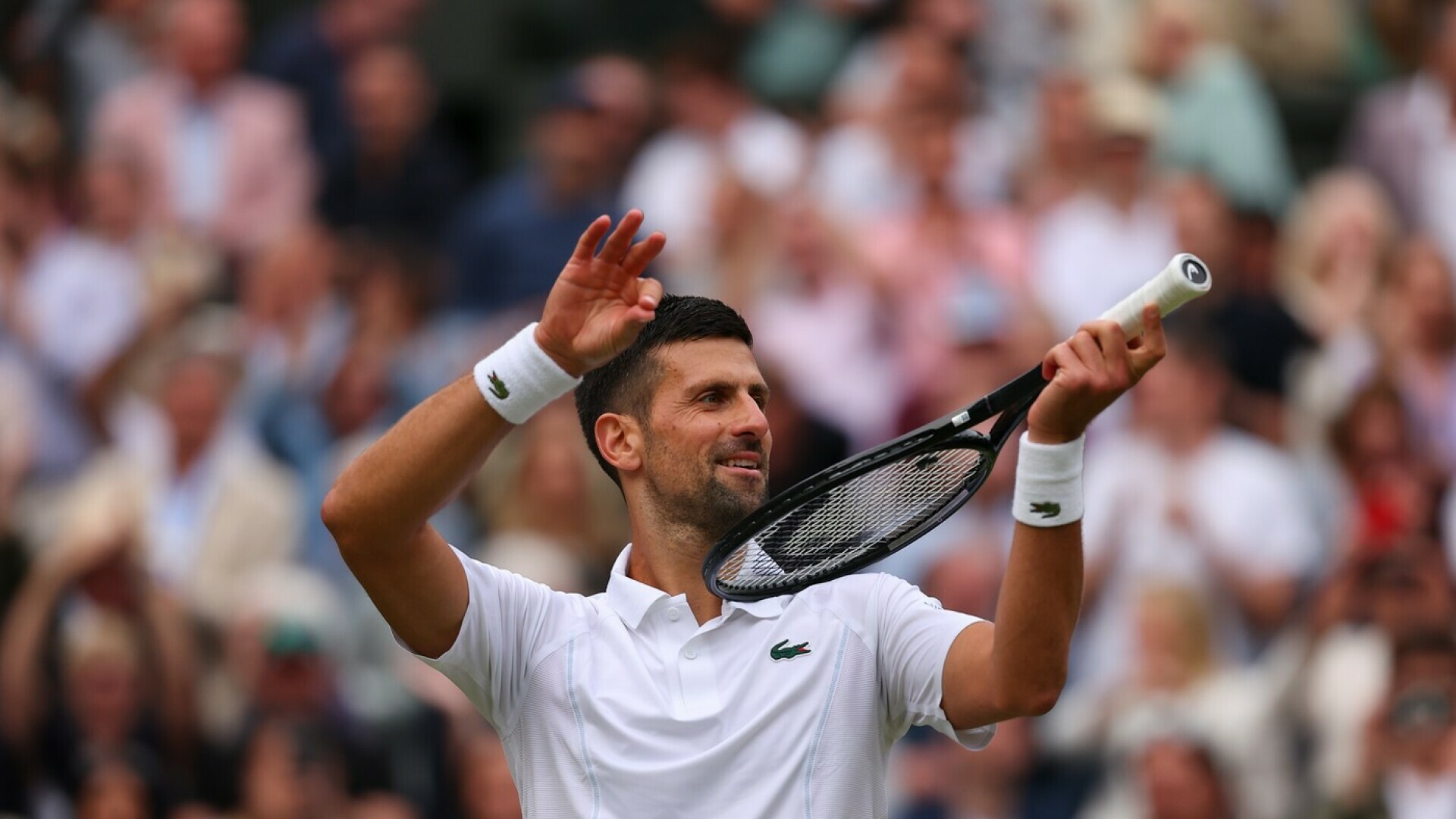 Novak Okovi Izborio Finale Wimbledona Protiv Alcaraza