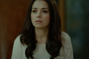 Milost - 6