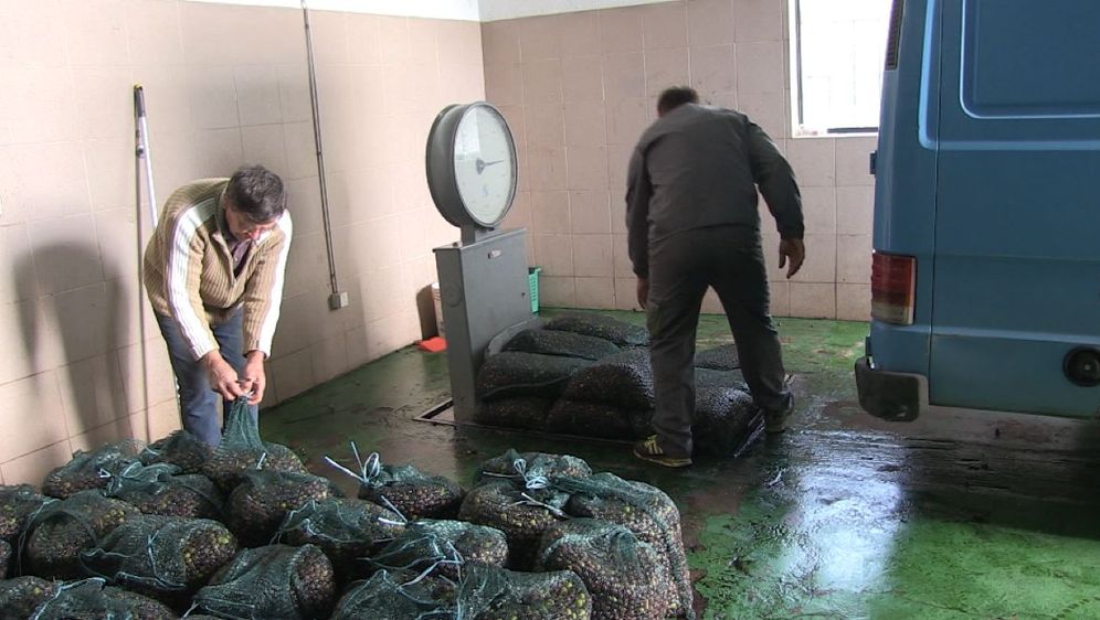 U Hrvatskoj najviše prekarnih radnika od svih zemalja EU (FOTO: screenshot/Informer)