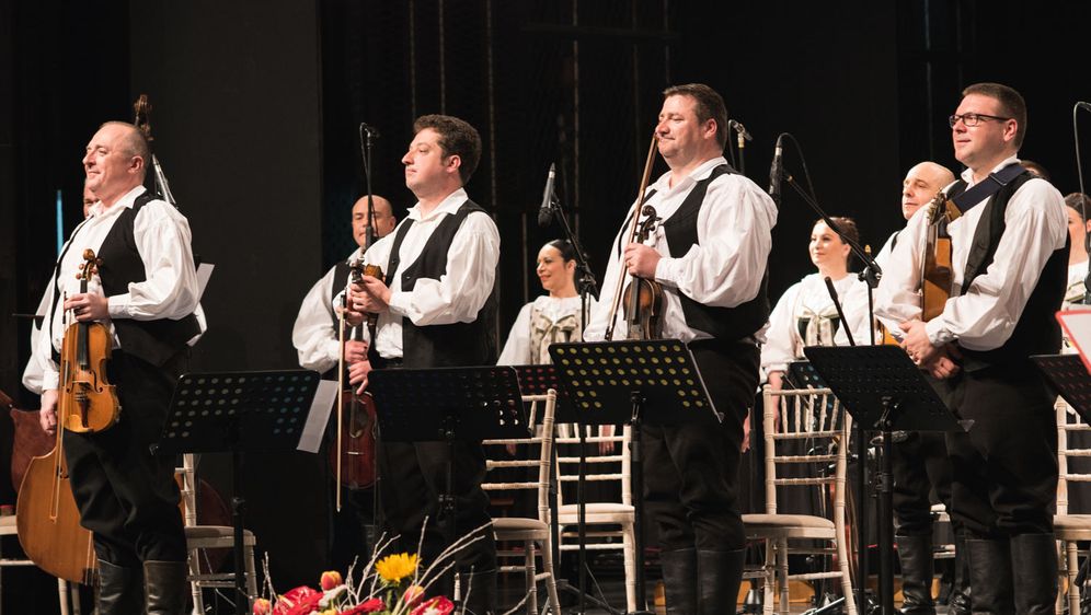 Lado (Foto: Filip Popović)