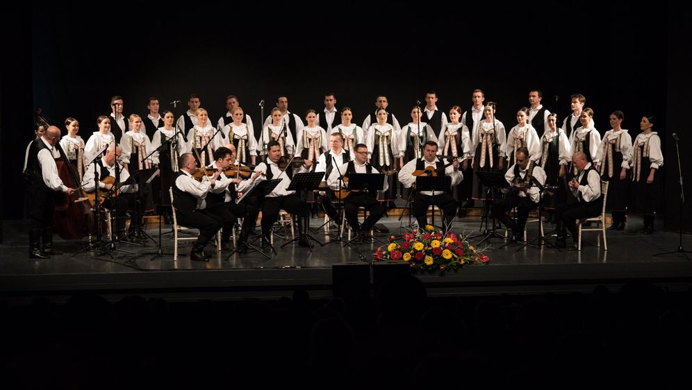 Lado (Foto: Filip Popović)