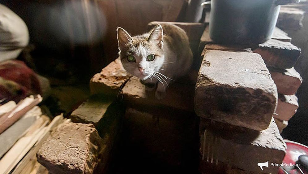 61-godišnji pustinjak Aleksandar Kuznjecov ne želi otići iz napuštene ruske vojne baze (Foto: Prima Media/Siberian Times)