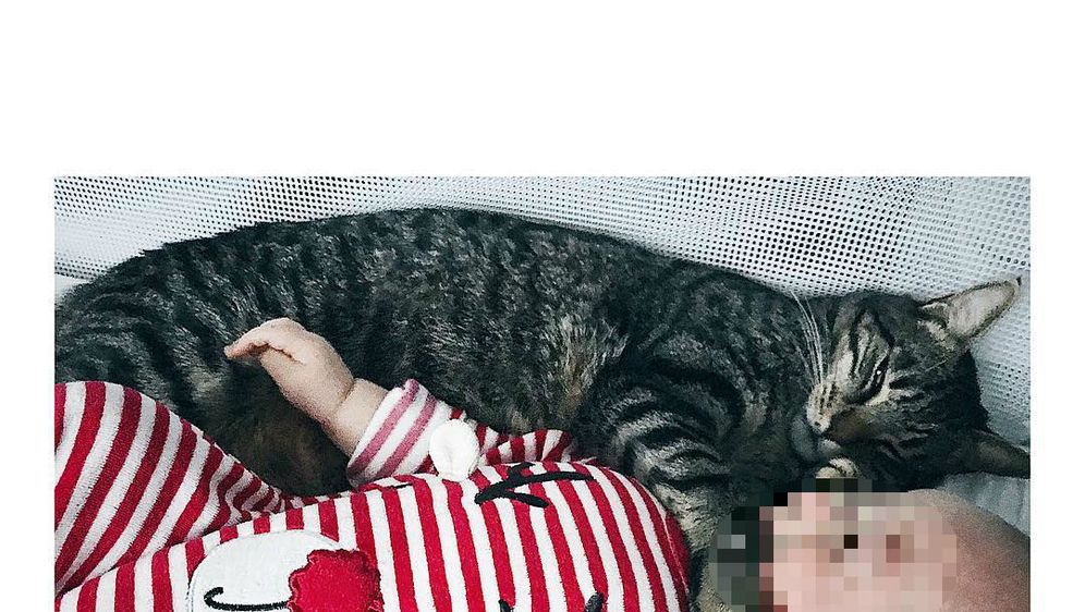Petra Kurtela (FOTO: Instagram)