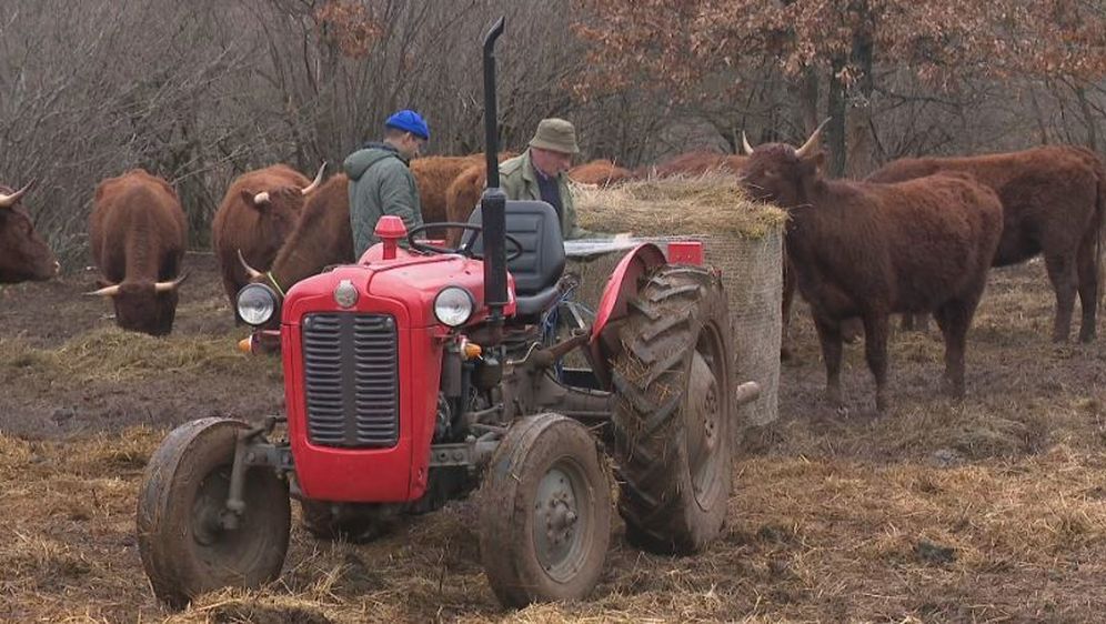 Stočari zadovoljni novim prijedlogom zakona (Foto: Dnevnik.hr) - 2