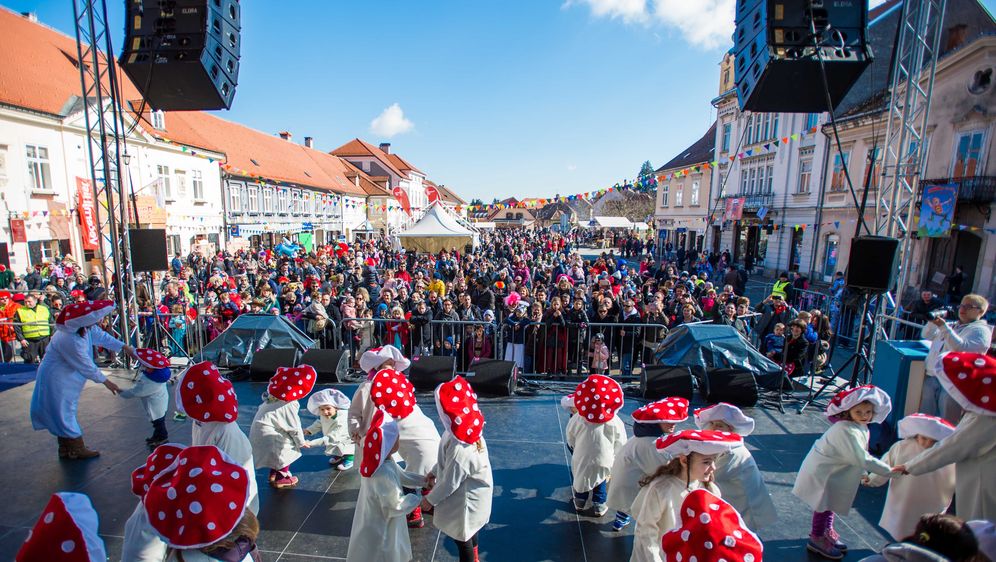 Samoborski fašnik (FOTO: PR)