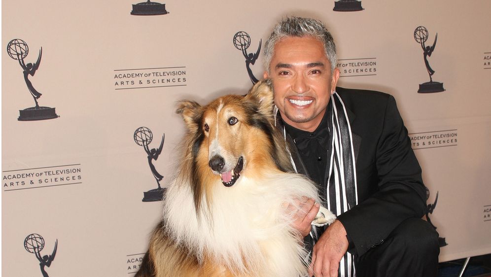 Cesar Milan (Foto: Profimedia)