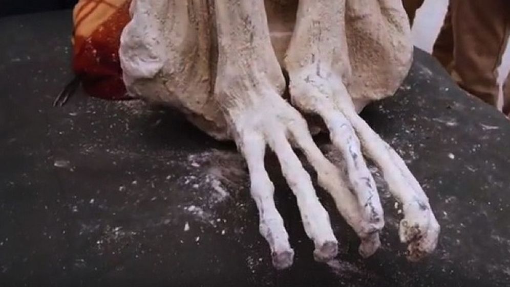 Izvanzemaljska mumija s tri prsta ima isti broj kromosoma kao ljudi, ali ne i anatomiju (Screenshot YouTube)