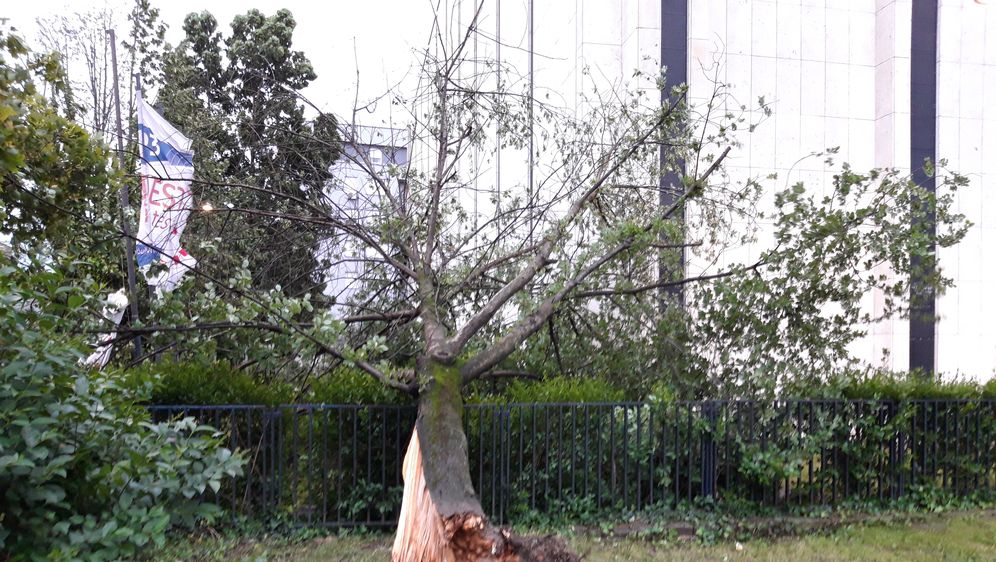 Olujno nevrijeme u Zagrebu (Foto: Pixsell,Patrik Macek,Sandra Simunovic)