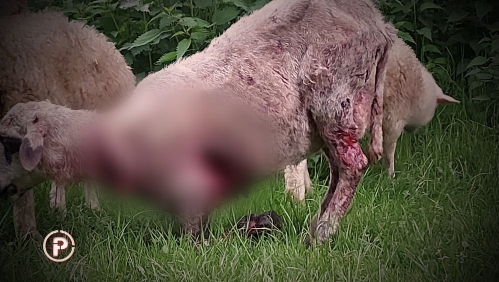 Umirovljeni brigadir prijetio ekipi Provjerenog - 2