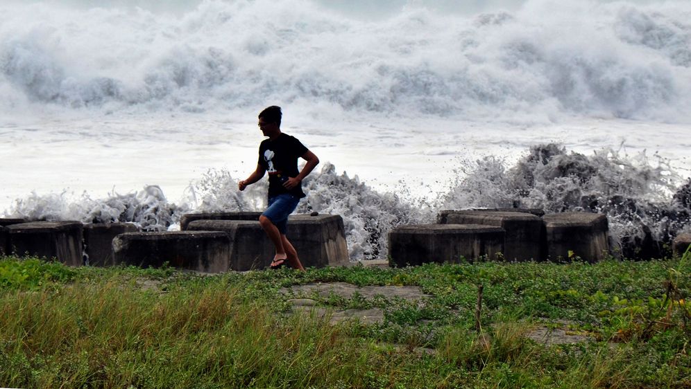 Stablo palo na kuću u Wilmingtonu u Sjevernoj Karolini tijekom uragana Florence, poginule dvije osobe (Foto: AFP)