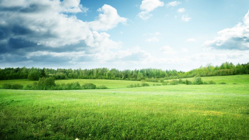 Poljoprivredno zemljište (Foto: Guliver/Thinkstock) (Foto: )