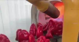 Pečena paprika