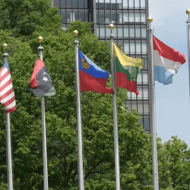 Zastave svijeta koje se vijore na vjetru