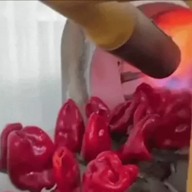 Pečena paprika