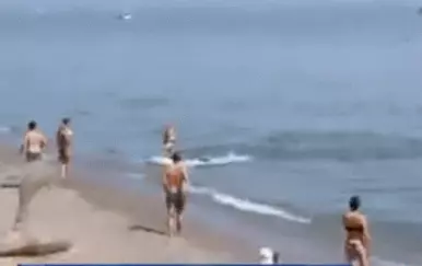 Tuna pratila kupača na plaži u Španjolskoj
