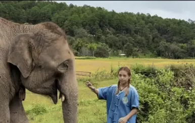 Dosta im je turista: Htjela se snimiti sa slonom pa vrlo brzo požalila