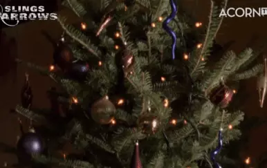 Tražite neku alternativu za bor? 5 drugačijih ″božićnih drvaca″