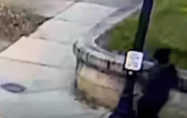 Potraga za ubojicom na Sveučilištu Brown