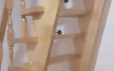 Pogledajte što je majstor isporučio za 1600 eura – ljudi traže da ga javno prozove