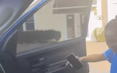 Radi u vrtiću za pse, a njezin odlazak s posla rastopio je srca gledatelja