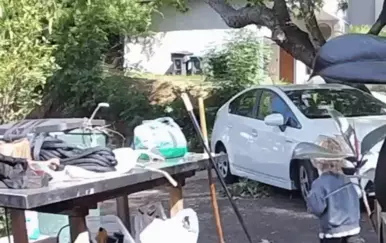 Kojot pred kućom lovio dječaka koji je bježao da spasi život