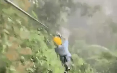 Krkljanac usred džungle: Pogledajte tko im je spriječio put