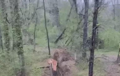 VIDEO Stablo palo na kuću u Zagrebu, šteta je ogromna: "Strašno. To je bila takva detonacija, neopisivo nešto"