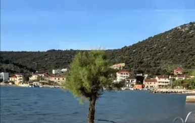 Izvela čarobnu papigu na izlet jadranskom obalom, gledatelji poželjeli takvog ljubimca