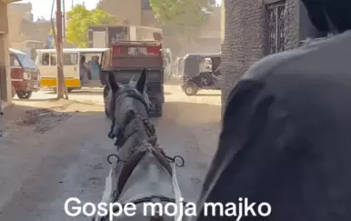 Snimka Dalmatinki u Egiptu novi je hit! Obavezno upalite zvuk