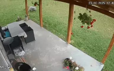 Nadzorne kamere snimile preslatki potez psa! Ovo će vam rastopiti srce
