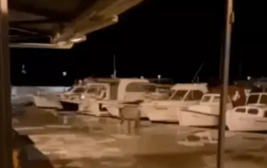 Nova turistička atrakcija u Vodicama! Pogledajte tko se šeće rivom