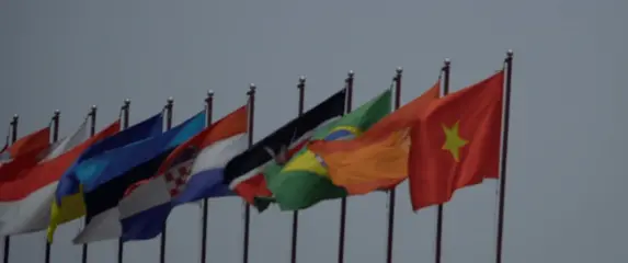 Razne zastave na vjetru