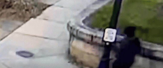 Osumnjičeni za pucnjavu na Brownu