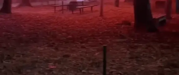 Neobična scena dekoracije u Nišu