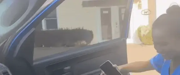 Čuvalica pasa nakon posla