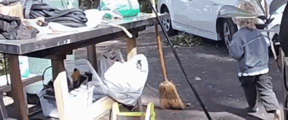 Dječak pred kućom bježao od kojota