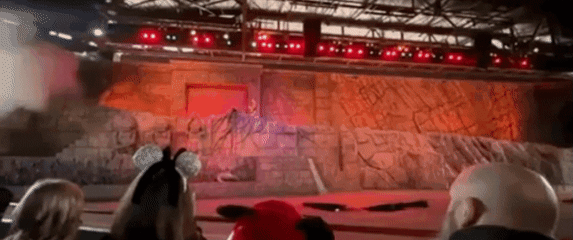 Nezgoda u Disneyu u SAD-u