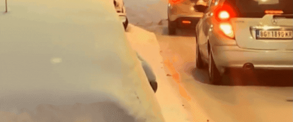 Skijanje po cestama u Beogradu