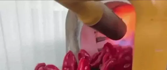 Pečena paprika