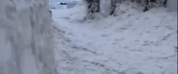 Kolaps zbog Claudije