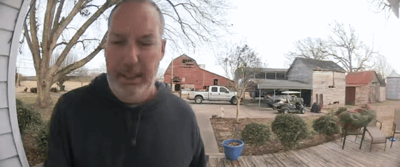 Zmija na ulaznim vratima