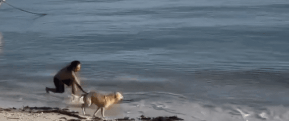 Muškarac u igri sa svojim psom na plaži
