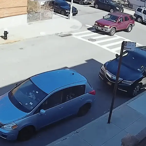 Kamera vidi sve: Pogledajte što sve ljudi izvode kad misle da ih nitko ne vidi