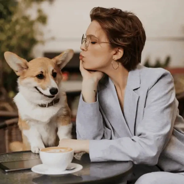 Dobrobiti venere u jarcu