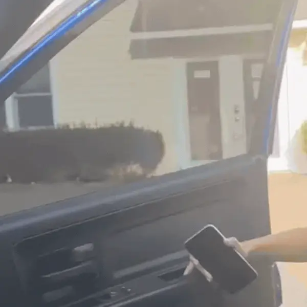 Radi u vrtiću za pse, a njezin odlazak s posla rastopio je srca gledatelja